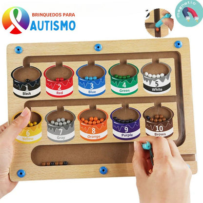 Brinquedo Cognitivo Montessori Labirinto Cores